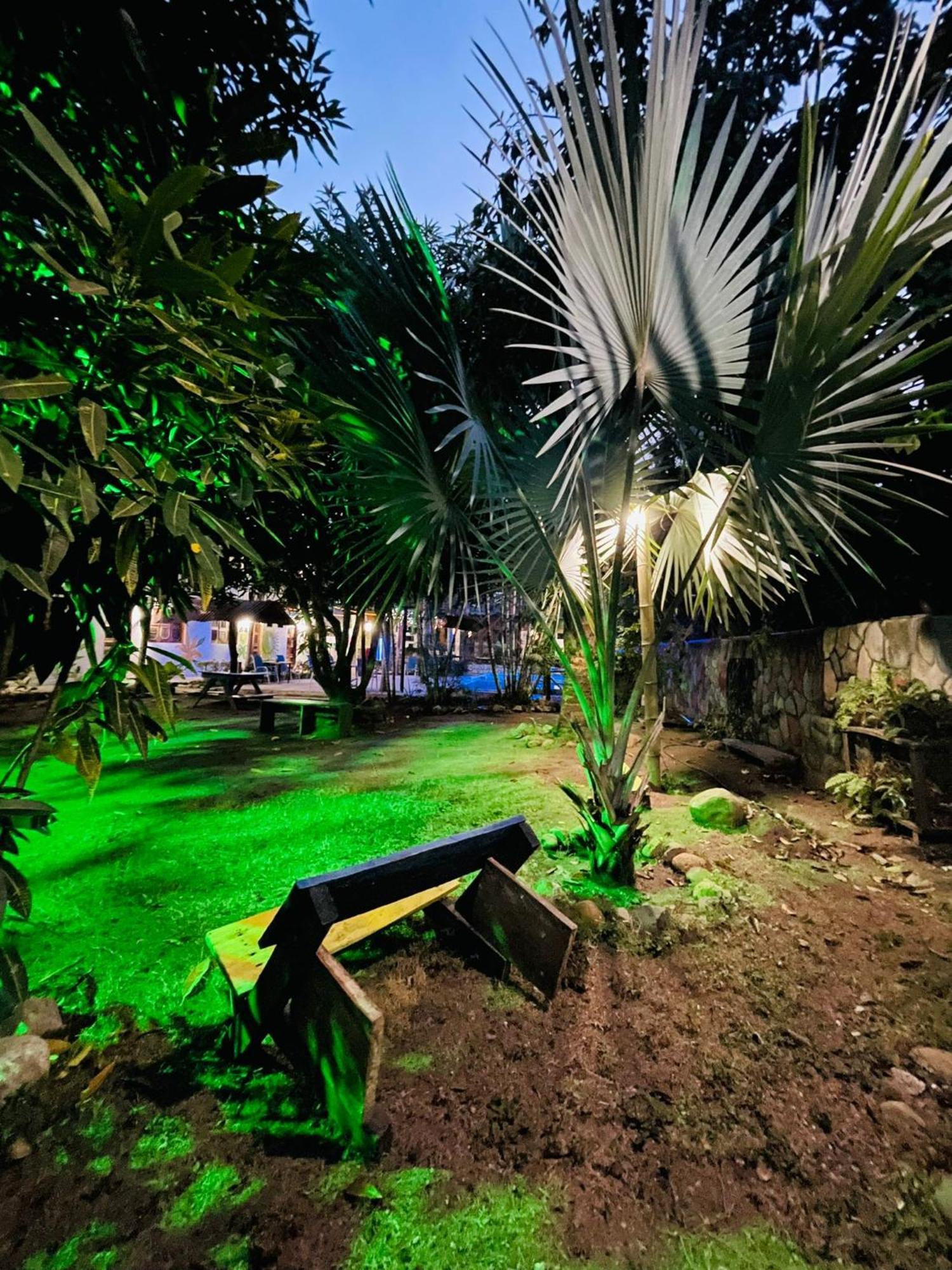 Hostal Luz De Luna Palomino Eksteriør bilde